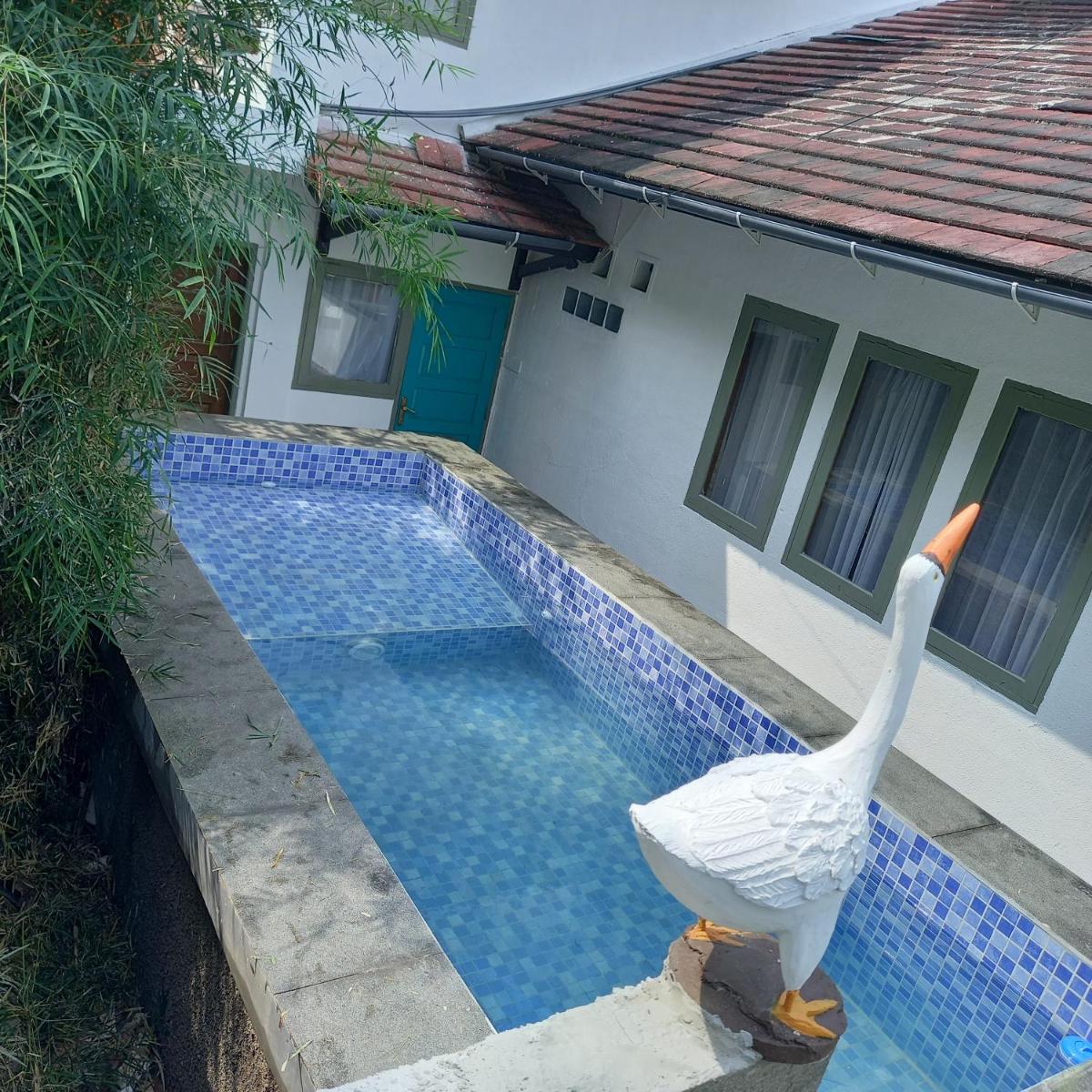Chrysant Huis Villa Istana Bunga - Housity