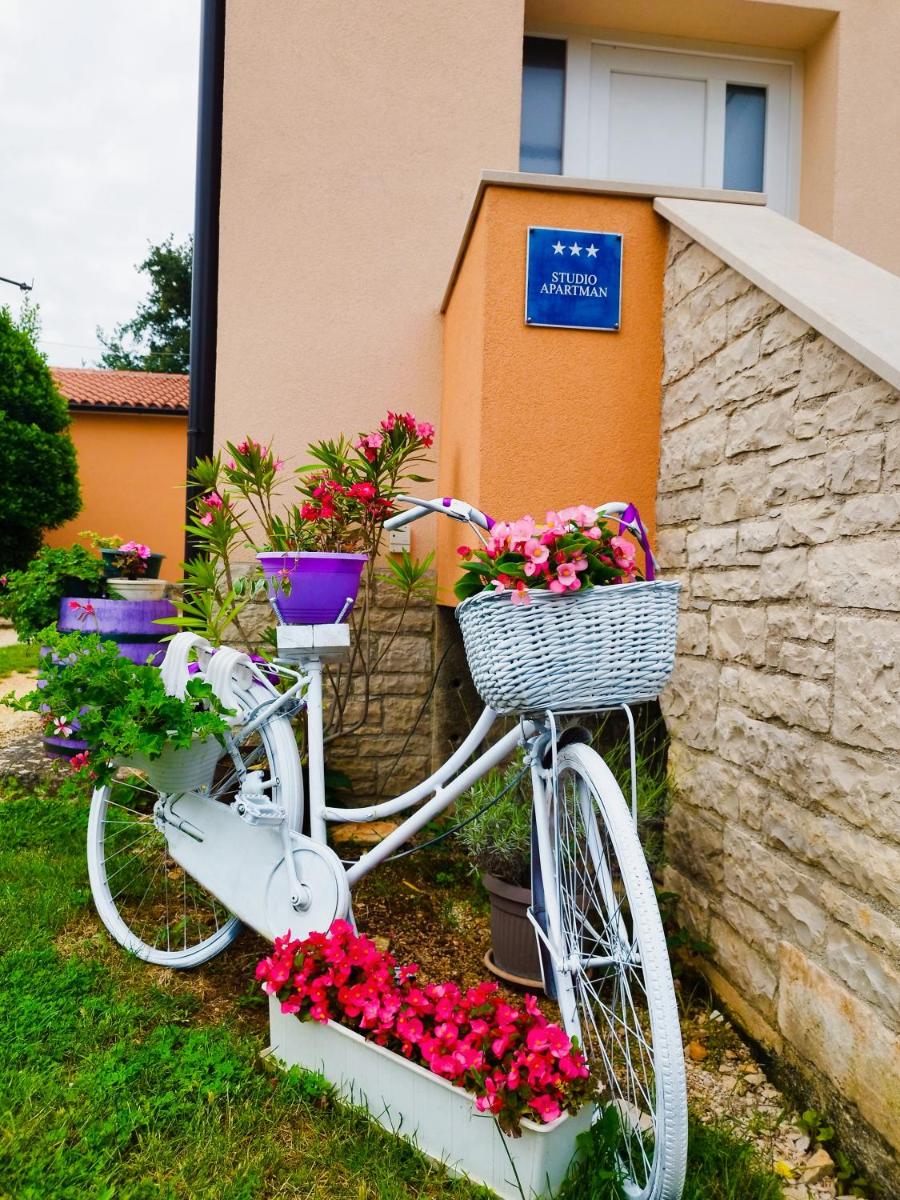Lennida Studio Apartman - Housity