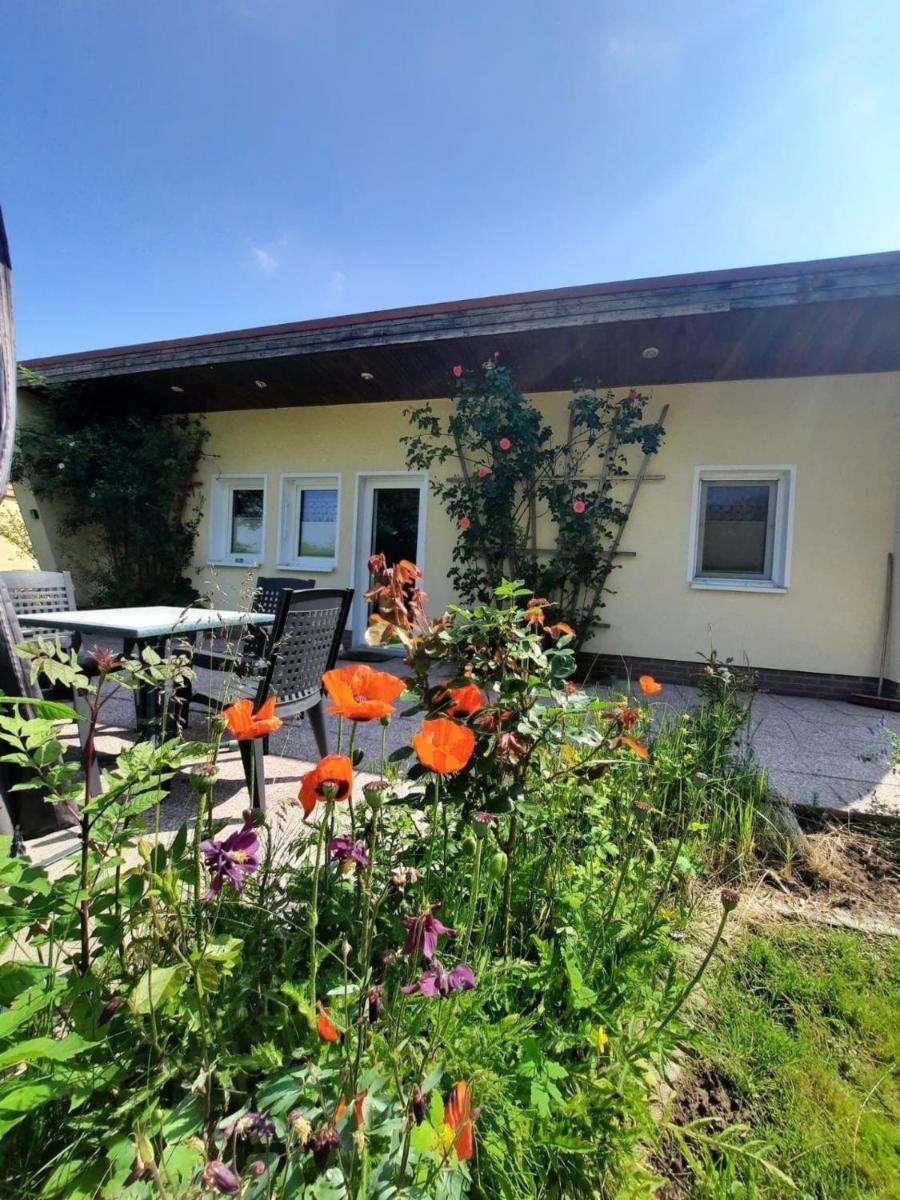 Ferienhaus in Dahmen Terrasse und Grill - Housity