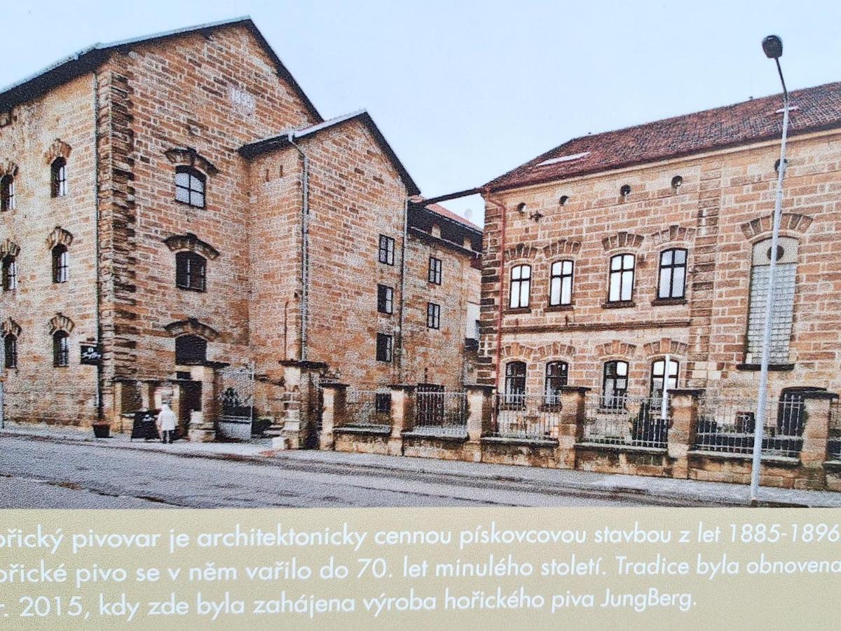 VÍCHOVA VILA_1935 - funkcionalistický skvost v Hořicích v Podkrkonoší - Housity