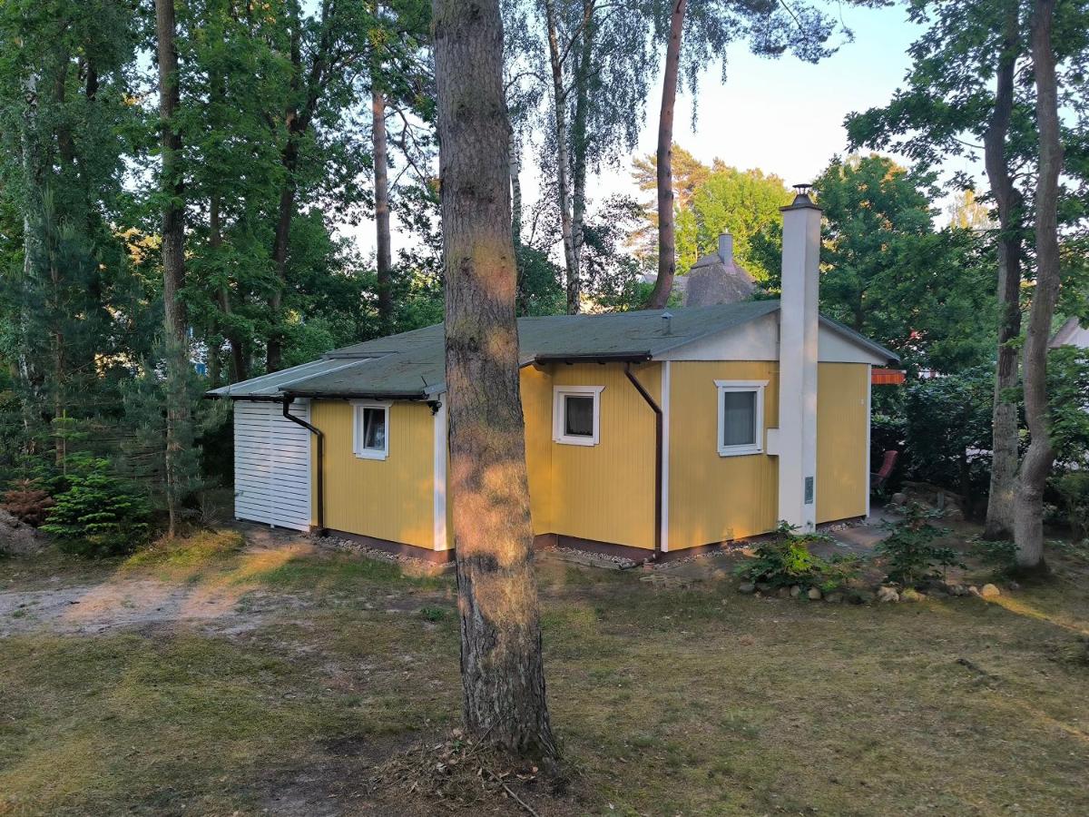 Ferienhaus Am Dünenwald - Housity