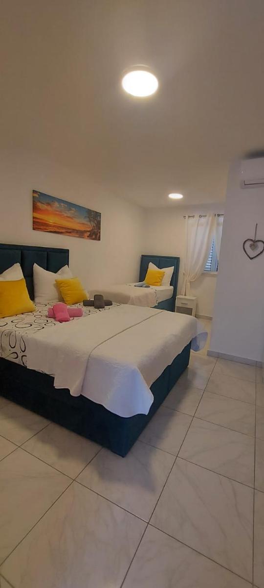Sea star - Housity