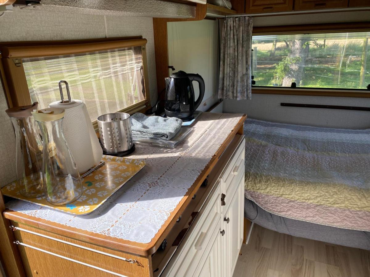 SIMPLE LIVING - Beds 190 cm - Dogs welcome on request - CARAVAN - COSY FARM BnB - Housity