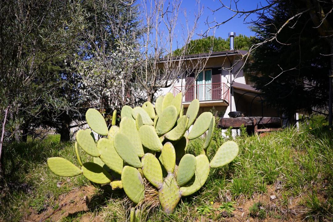 Verzura Bed and Breakfast - Housity