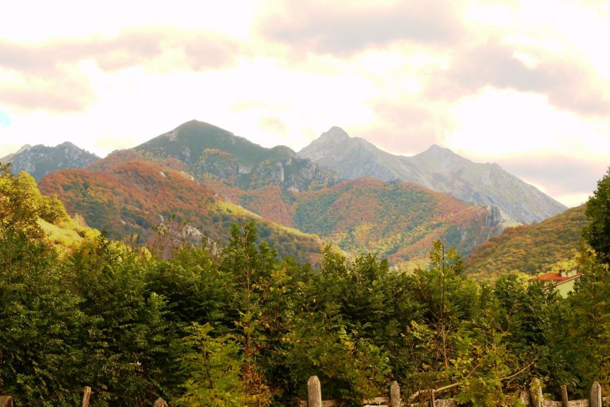 Paisaje cerca de este hotel