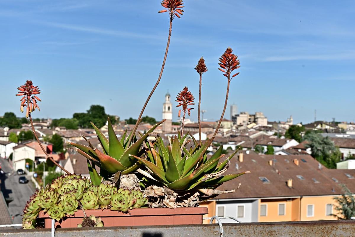 Piccolo paradiso - Housity
