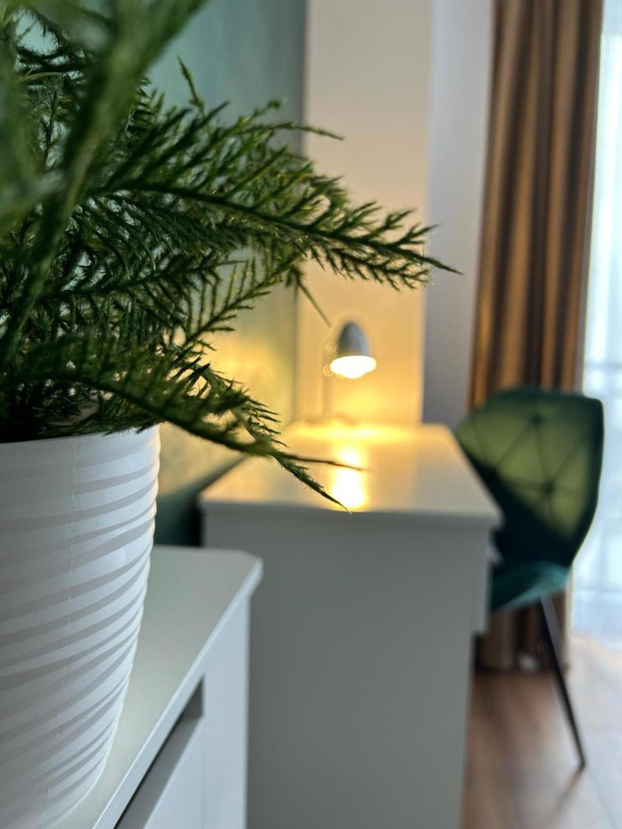 Central Cosy Apartment - Housity