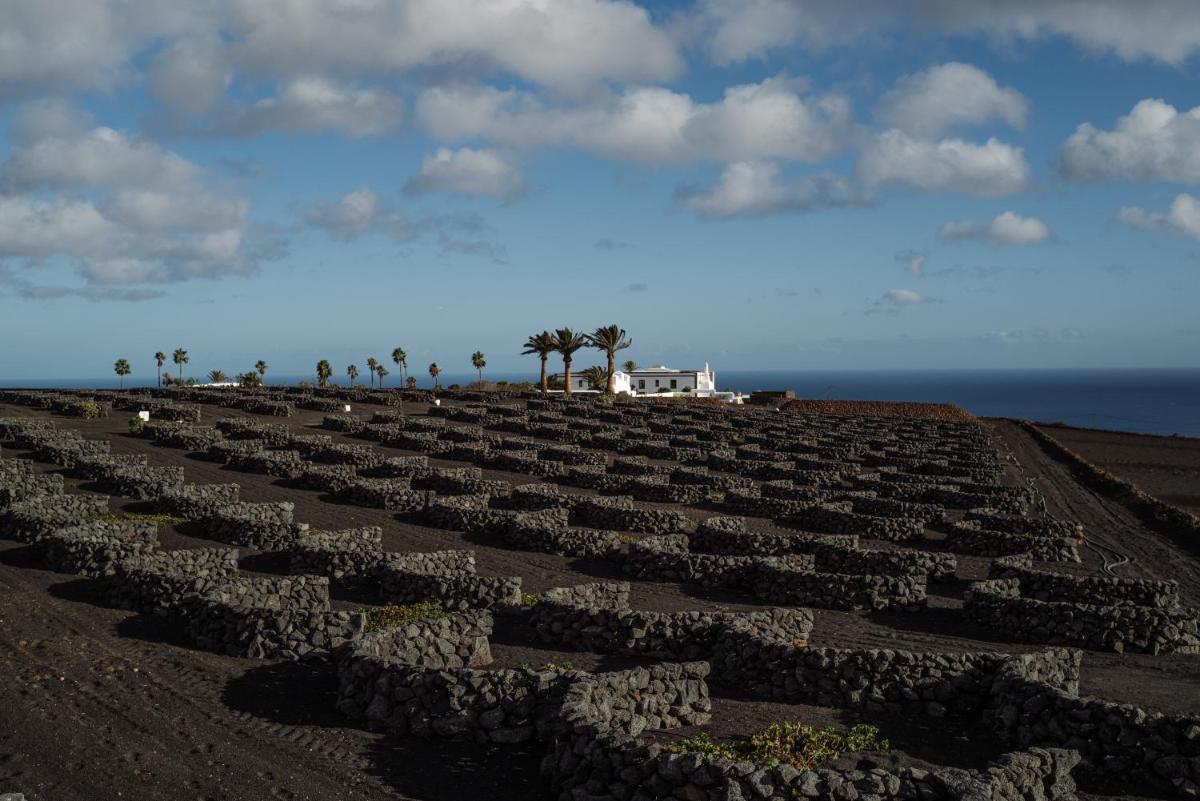 un gran campo de rocas en la playa en César Lanzarote Luxury Boutique Hotel - Adults Only, en La Asomada