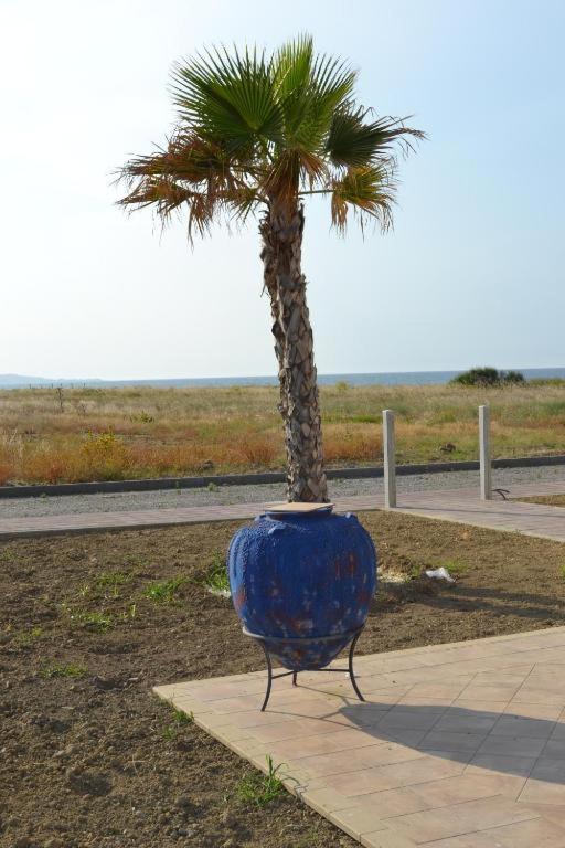 Green House Beach - Housity