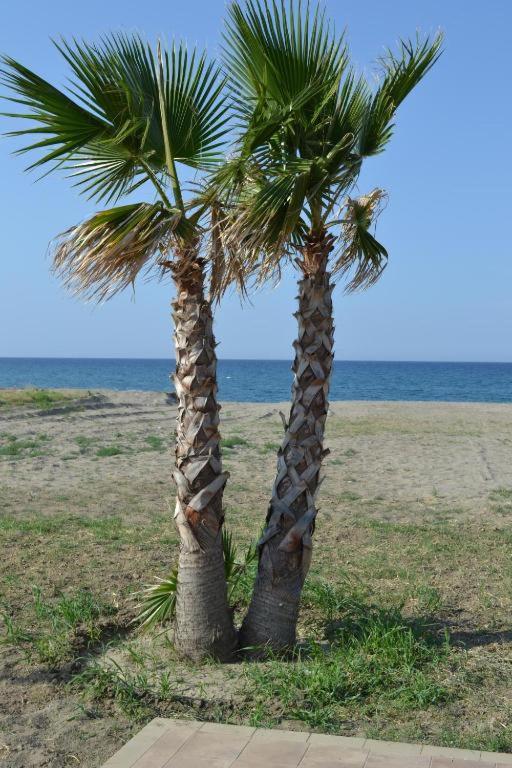 Green House Beach - Housity