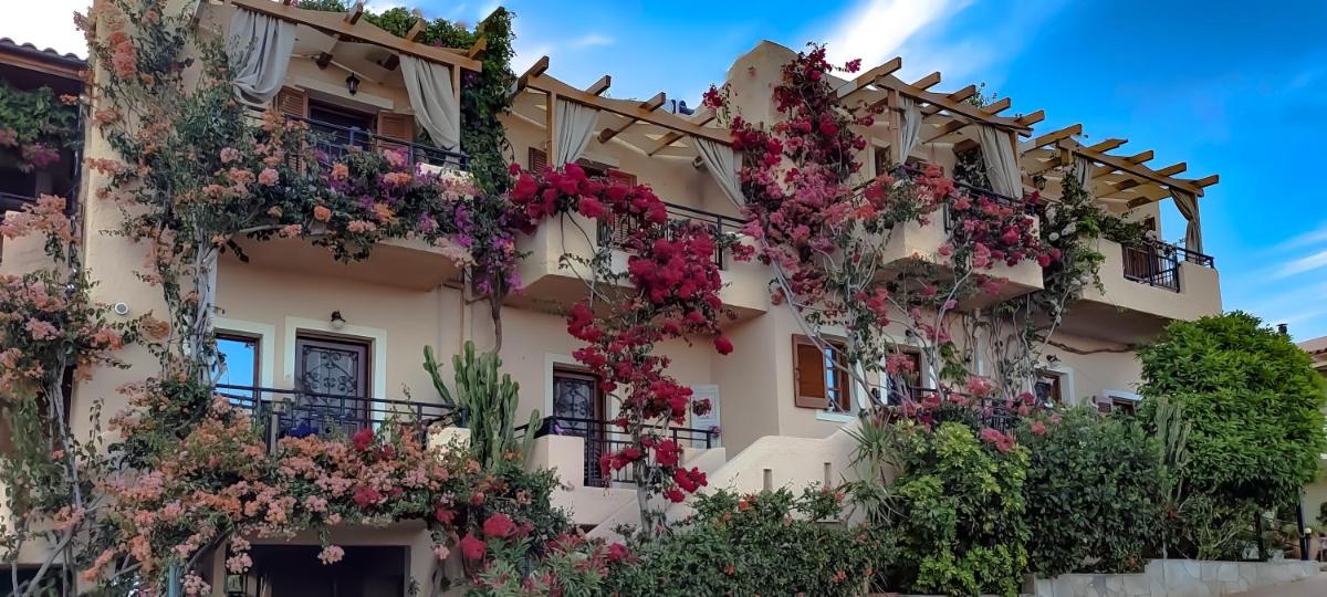 Niki Apartments - Housity