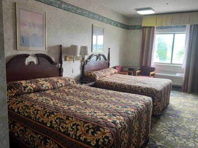 Garden Inn - Hizvo