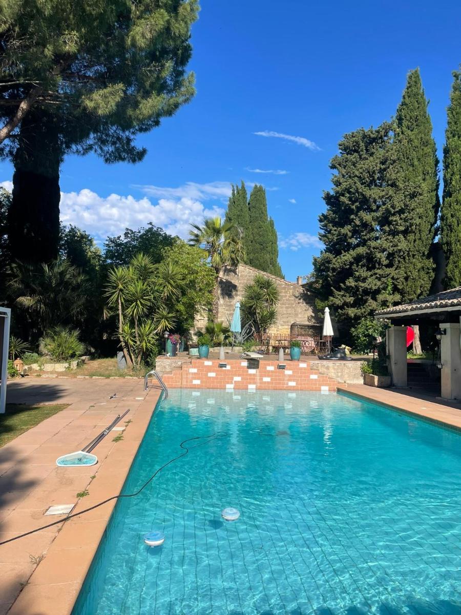 De la suite dans les oliviers - Housity