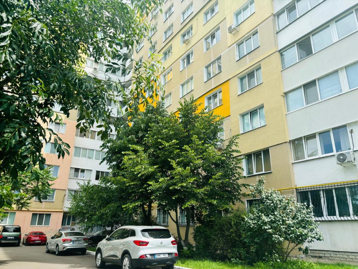 Svetlana Apartment - Housity