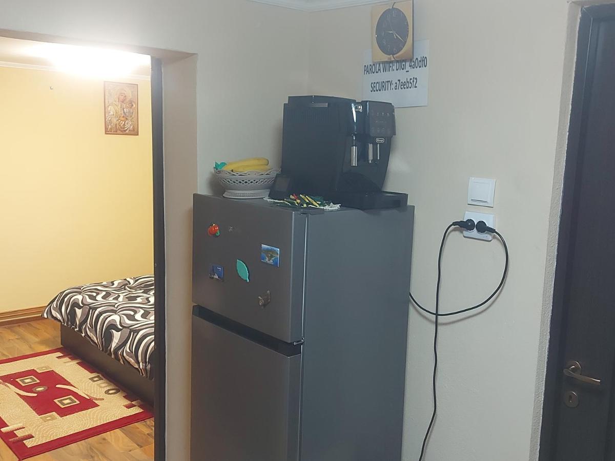 Casa de vacanta in Tara Fagarasului - Housity