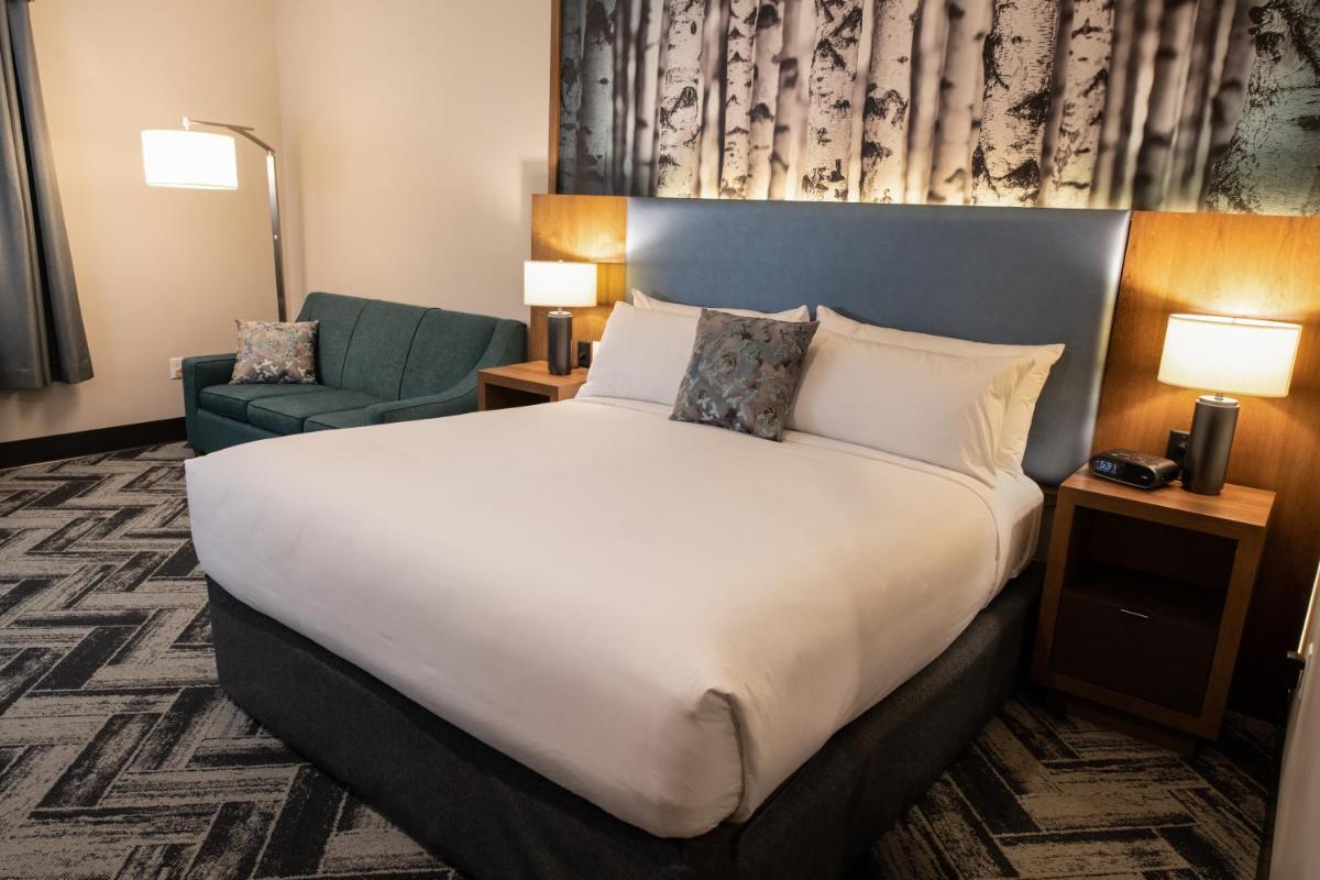 The Alder - Housity