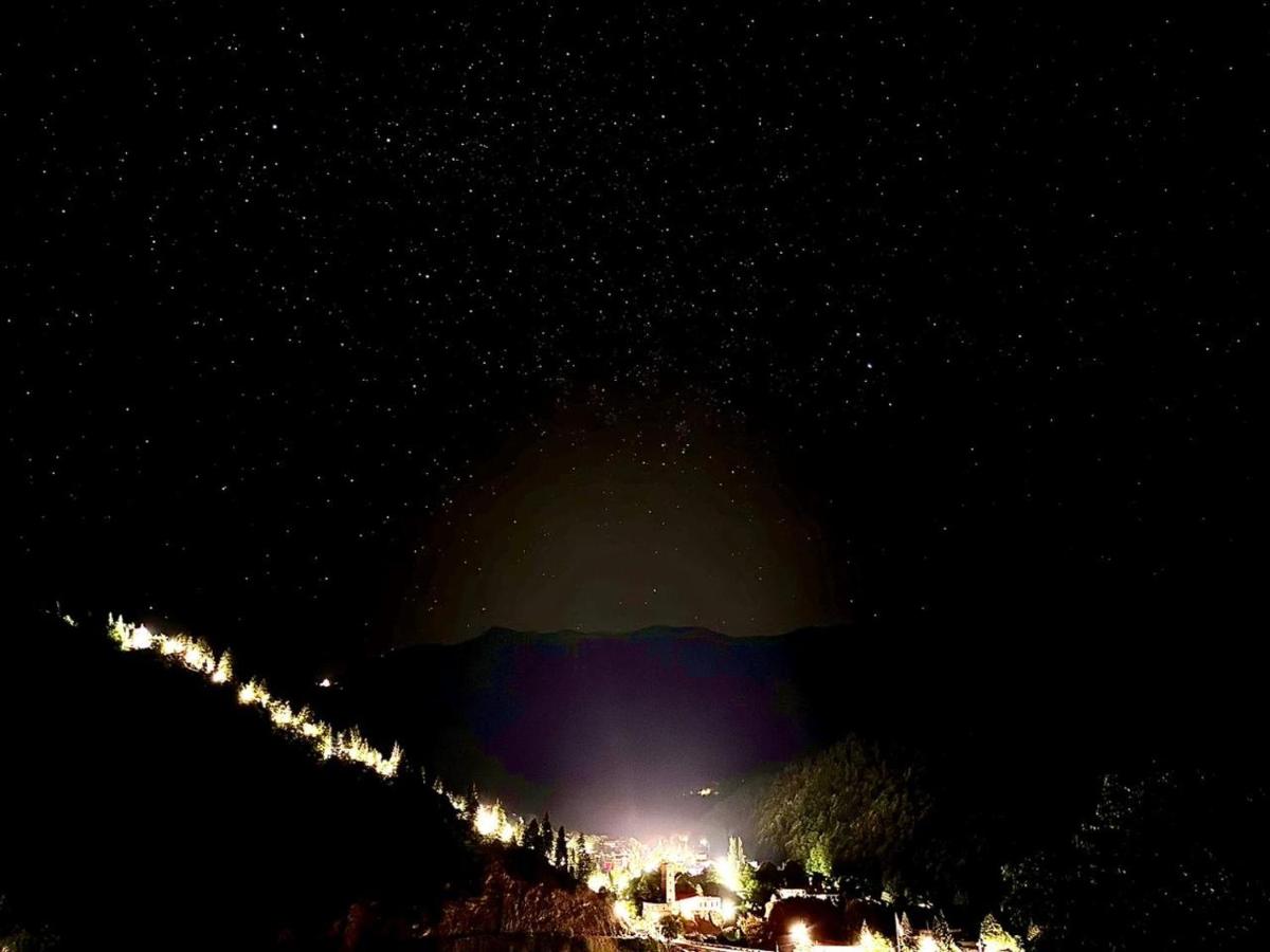 ლენტეხის მთის სასტუმრო - Lentekhi Mountain Inn - Housity