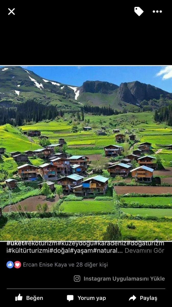 Hotel Green Valley Savsat - Housity