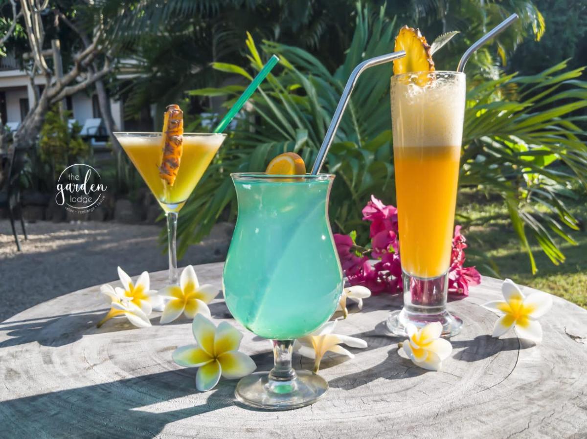 The Garden Lodge Pereybere - Piscine & Jardin - Housity
