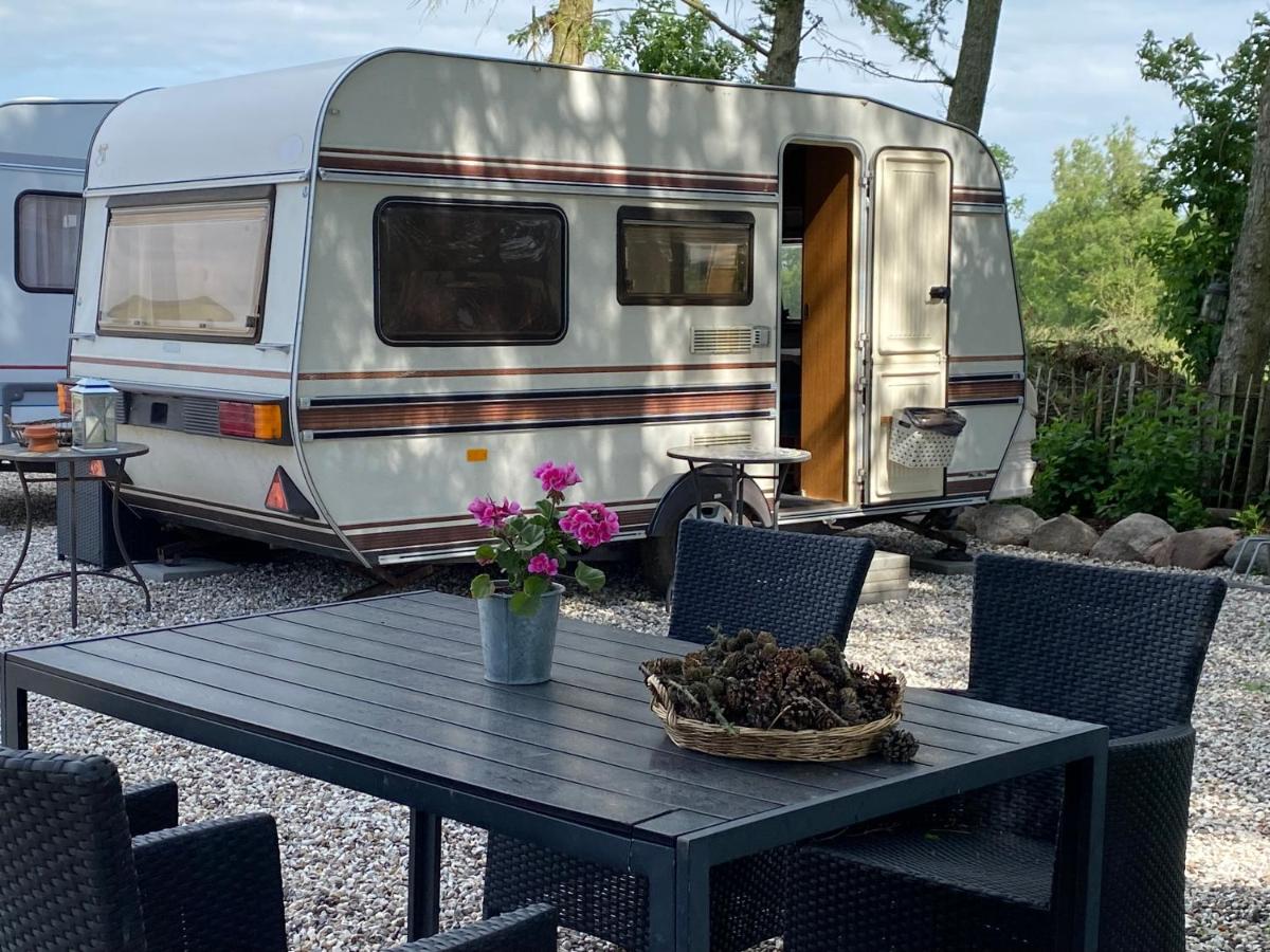 SIMPLE LIVING - Beds 190 cm - Dogs welcome on request - CARAVAN - COSY FARM BnB - Housity