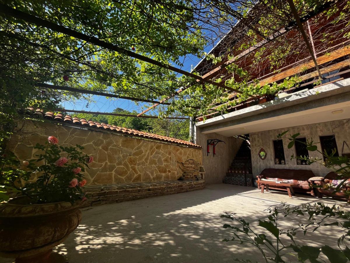 Wine House KNIAZ - Housity