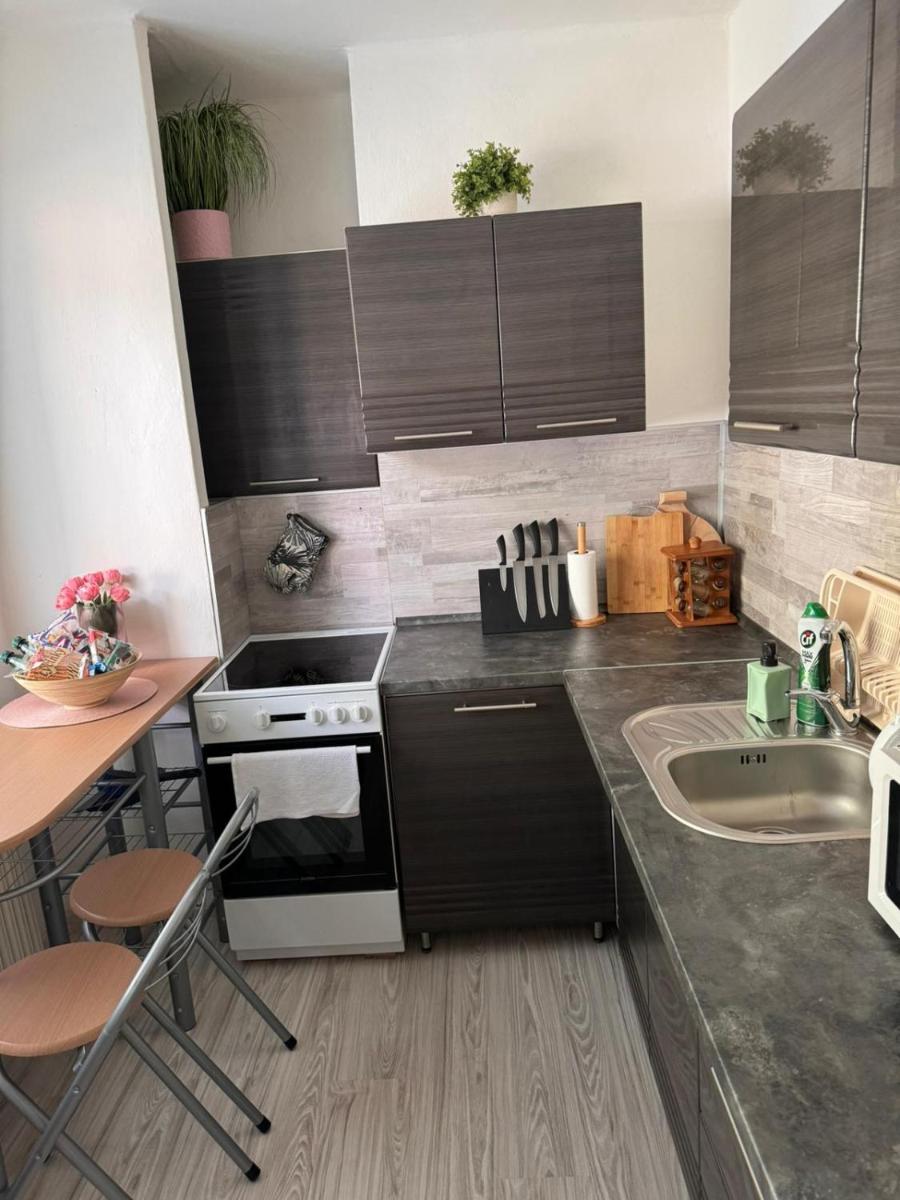Apartmán RUŽA14 - Housity