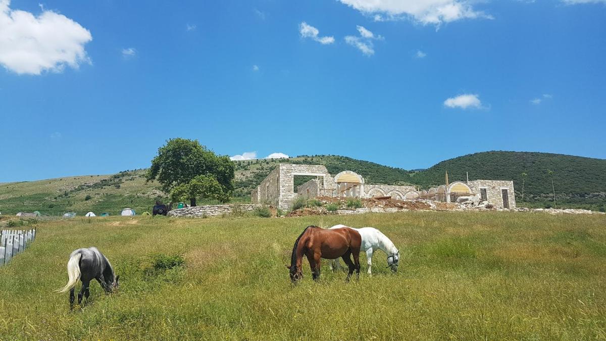 Saffron House Nivica - Housity