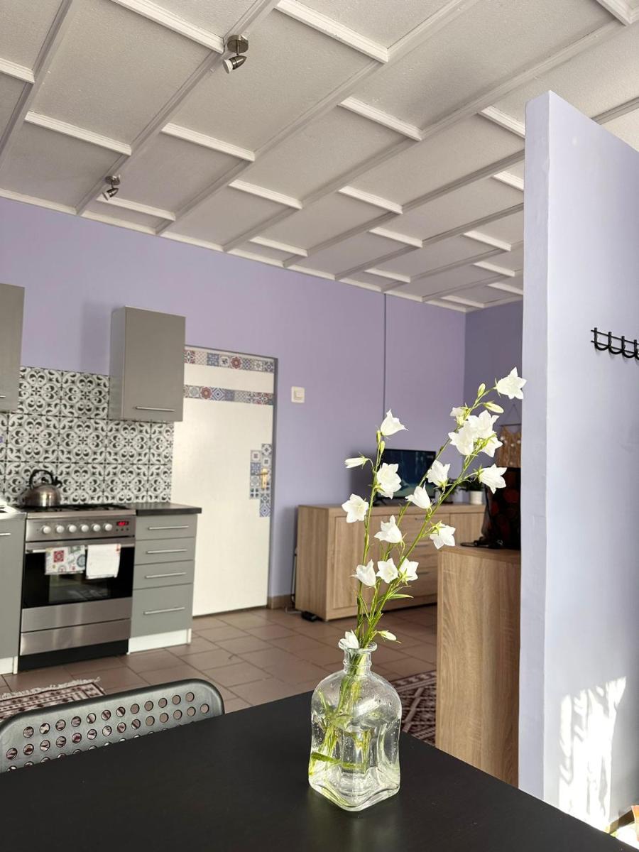 Studio Jolanta - Hizvo