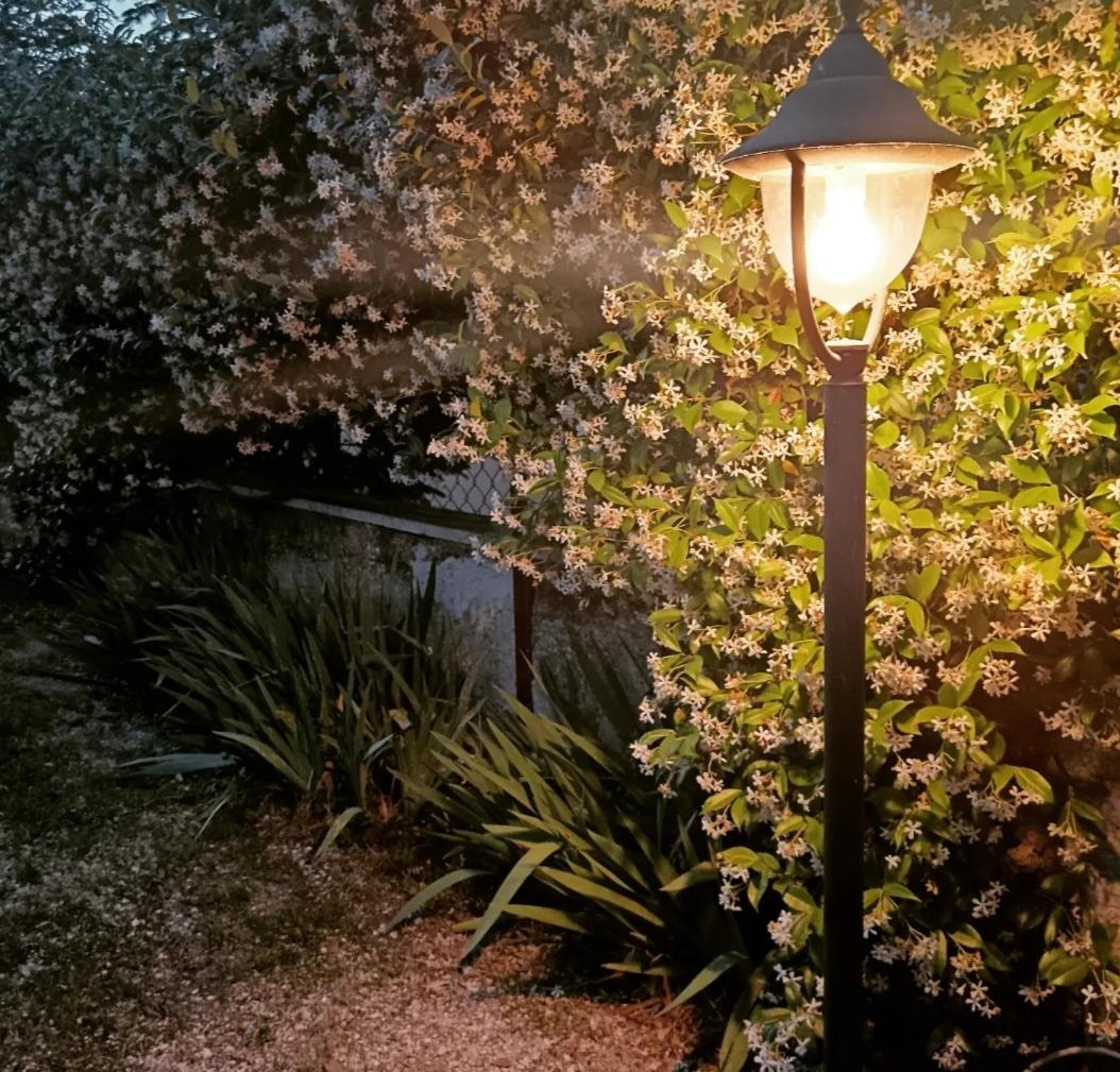 Il Giramondo - Housity