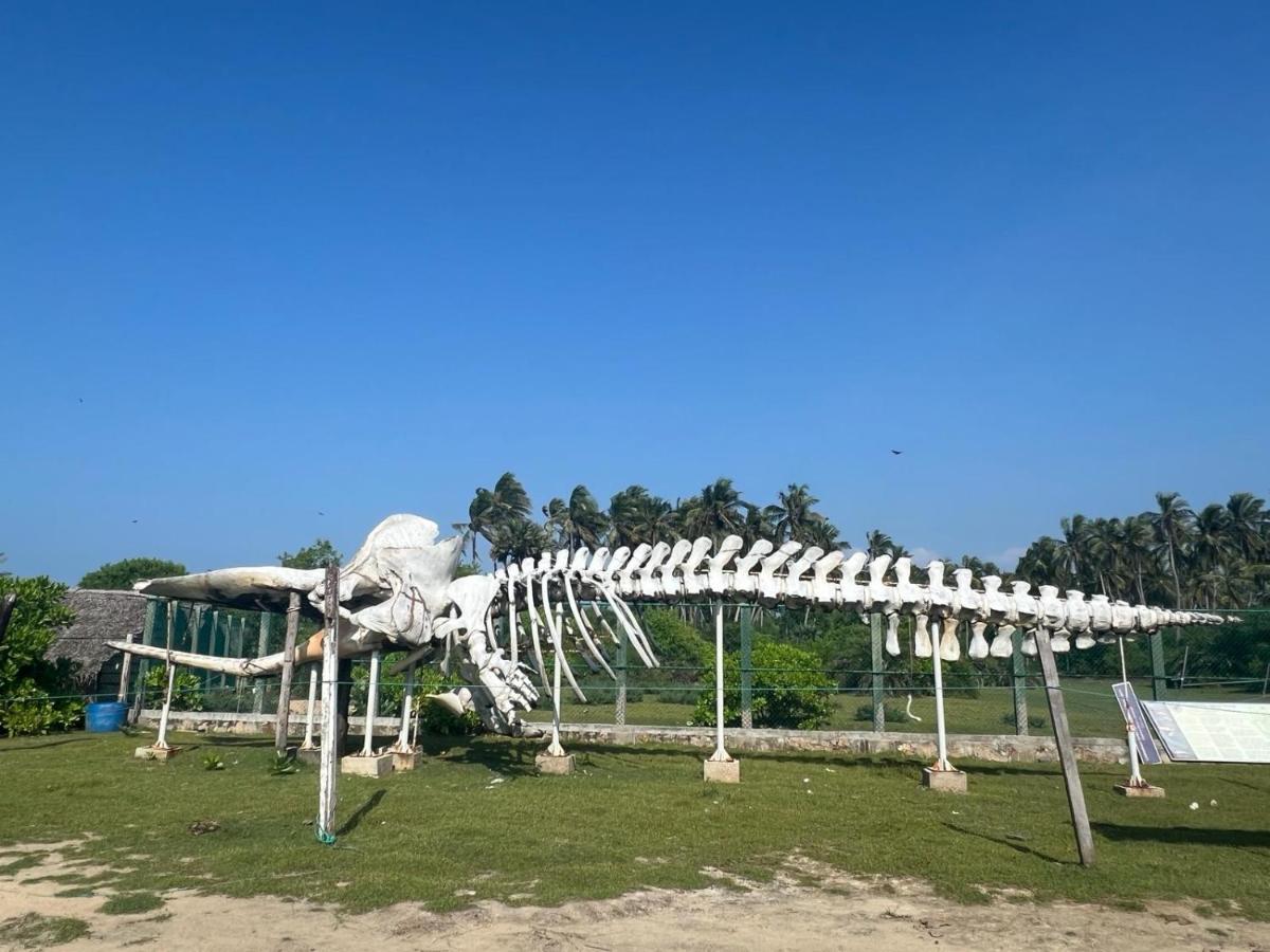 Sulashika Beach House - Housity