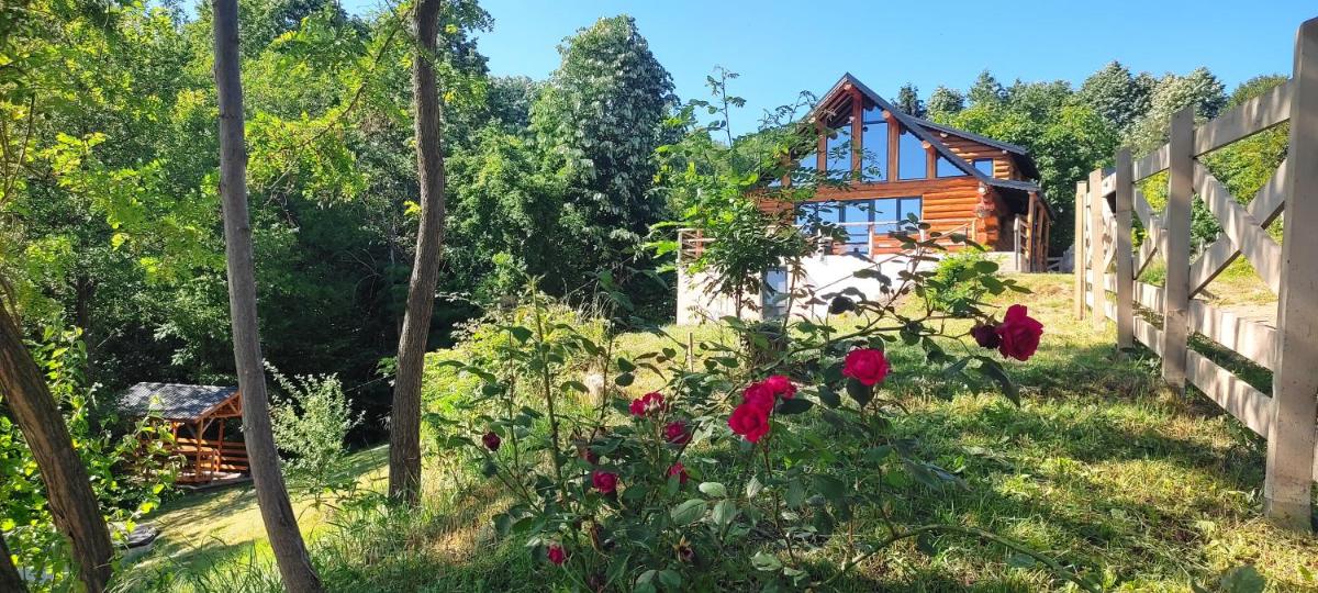 Chalet Ursa Mare - Housity