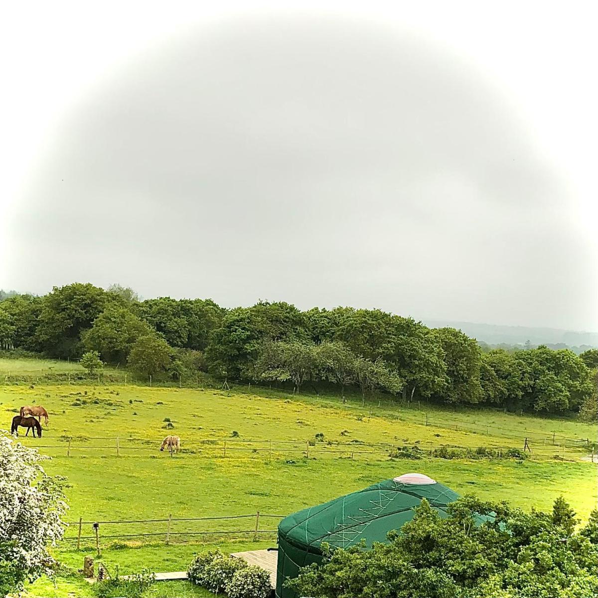 Yourte Steredenn - Housity