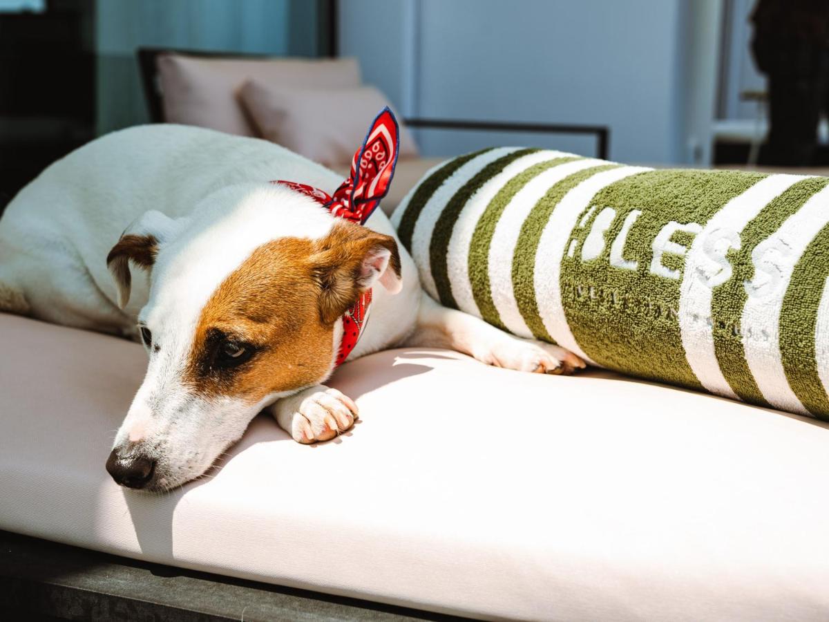 Mascotas con sus dueños en BLESS Hotel Ibiza - The Leading Hotels of The World