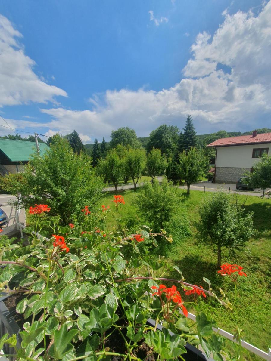 Guesthouse Nikola - Housity