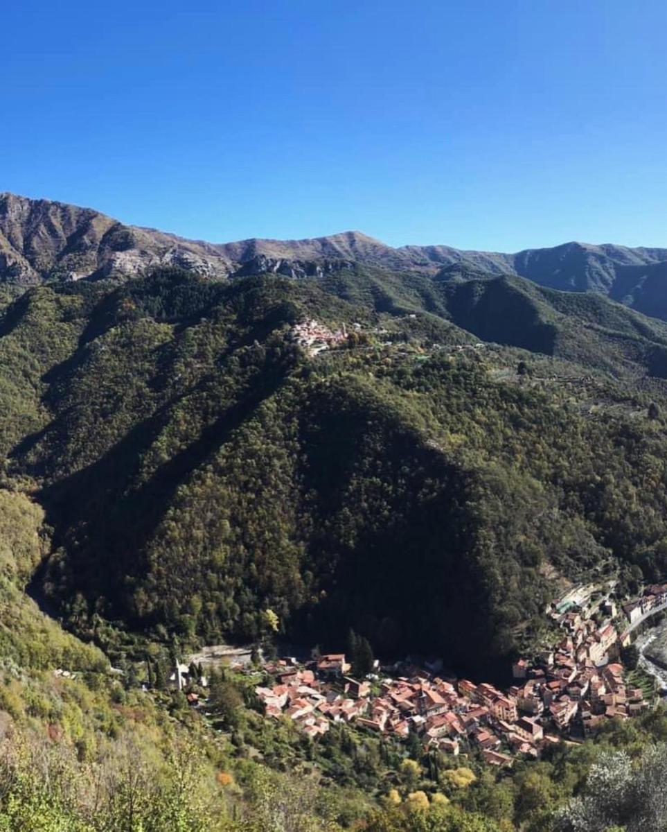La Strega Bianca - Housity