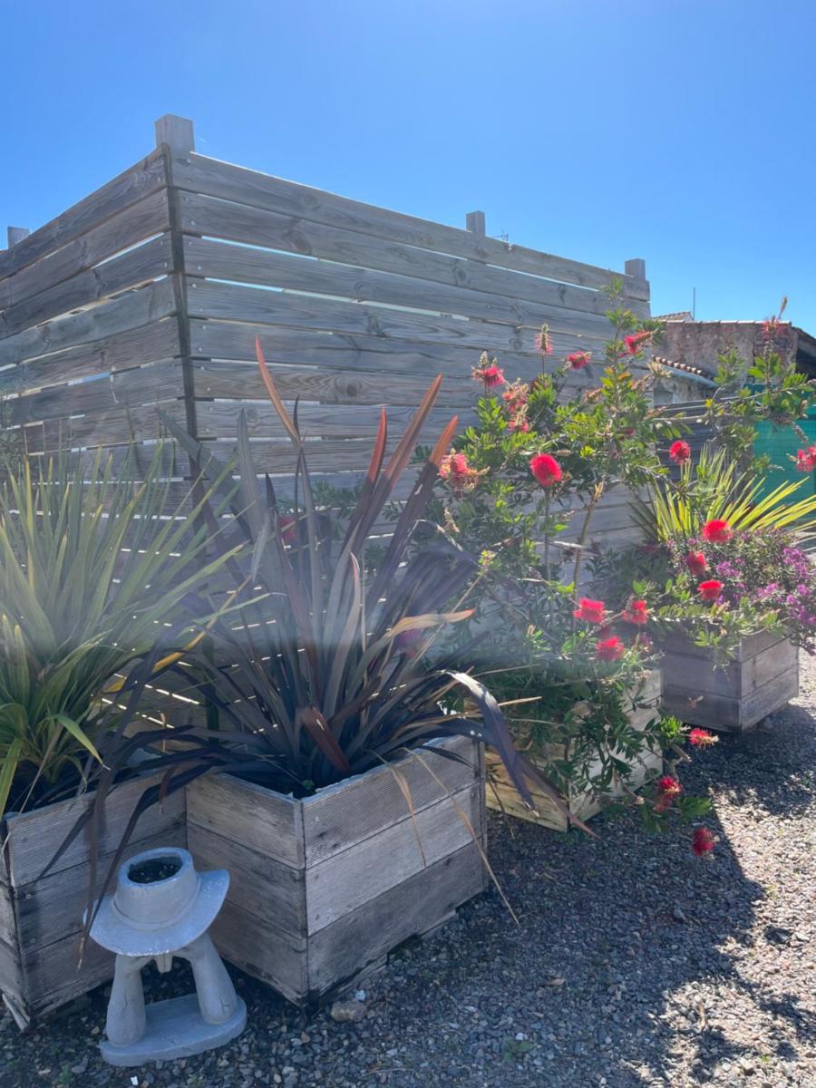 Jardin de l'établissement Résidence Les Océanes