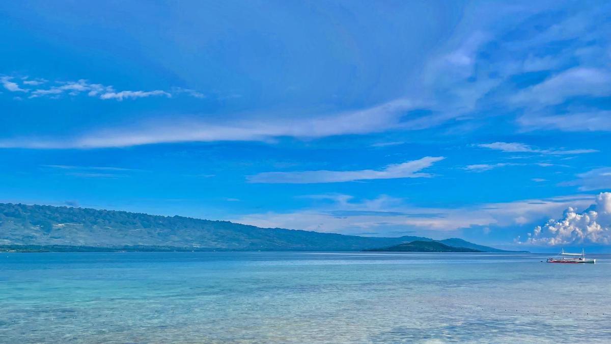 La Concepcion Cove Garden Resort - Housity