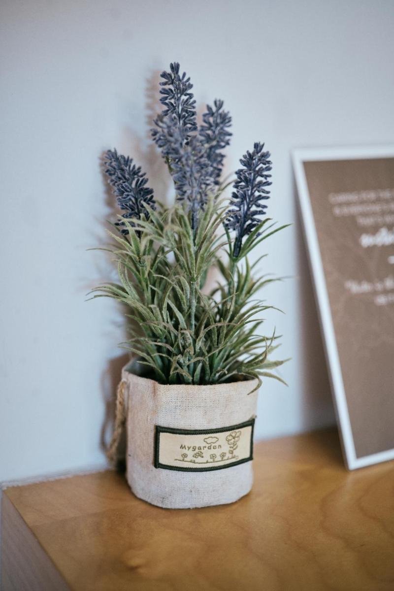 Casas da Li - Housity