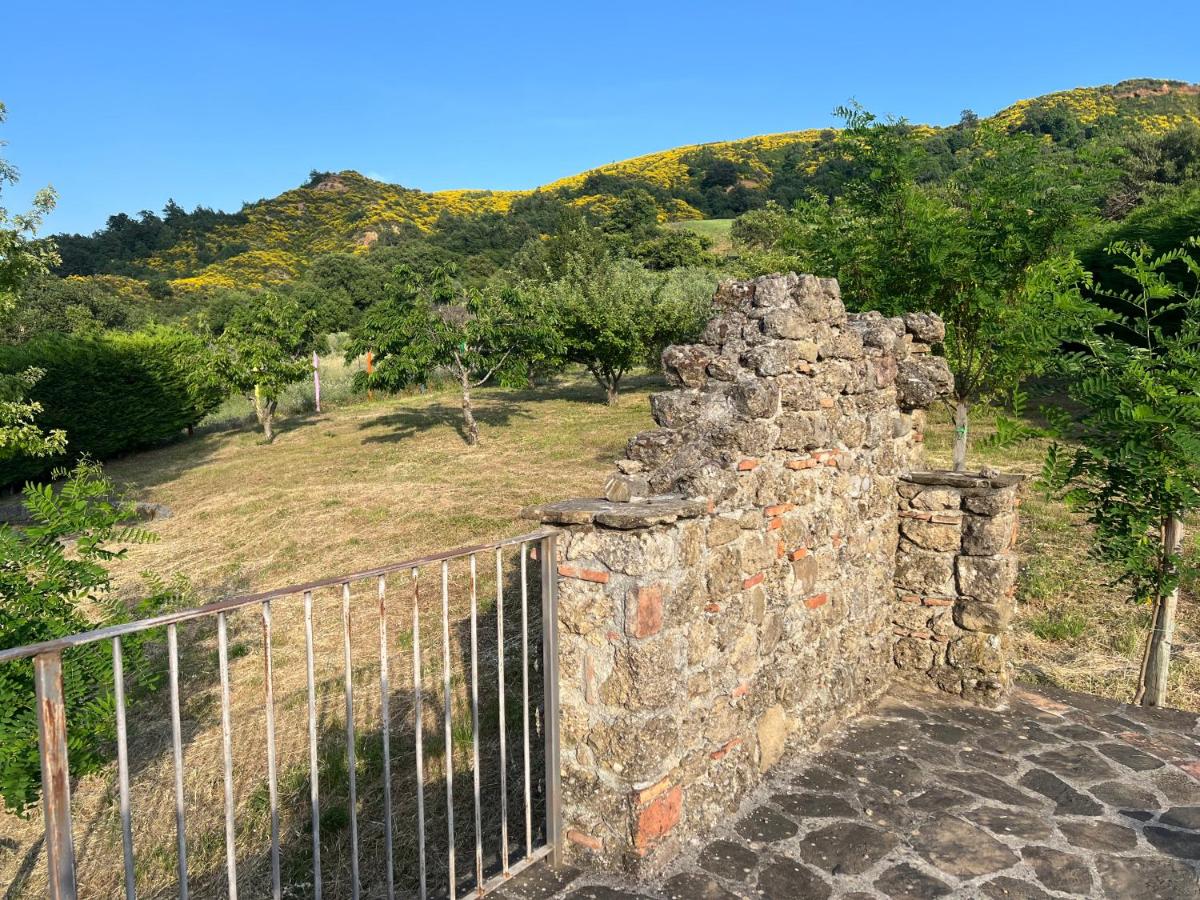 Casa di campagna nel Parco del Pollino - Housity