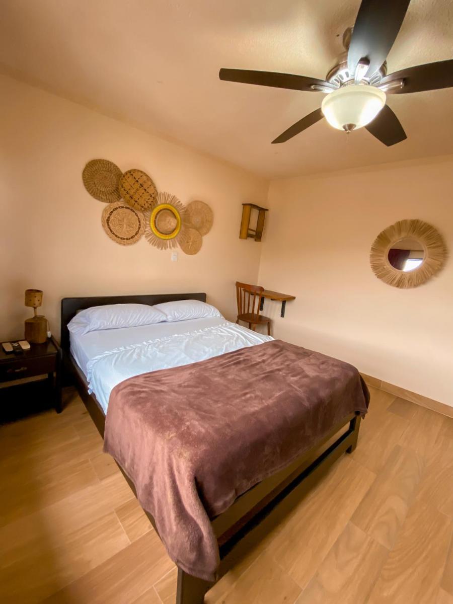 La Rosa Nautica Hostel - Housity