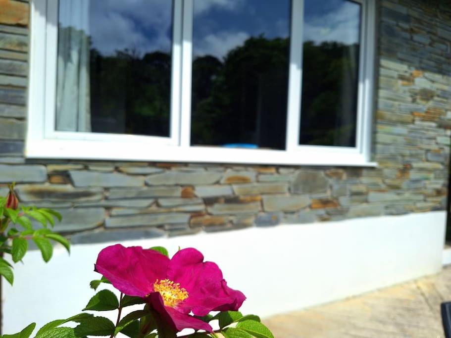 Kiberick Cottage at Crackington Haven, near Bude and Boscastle, Cornwall - Housity