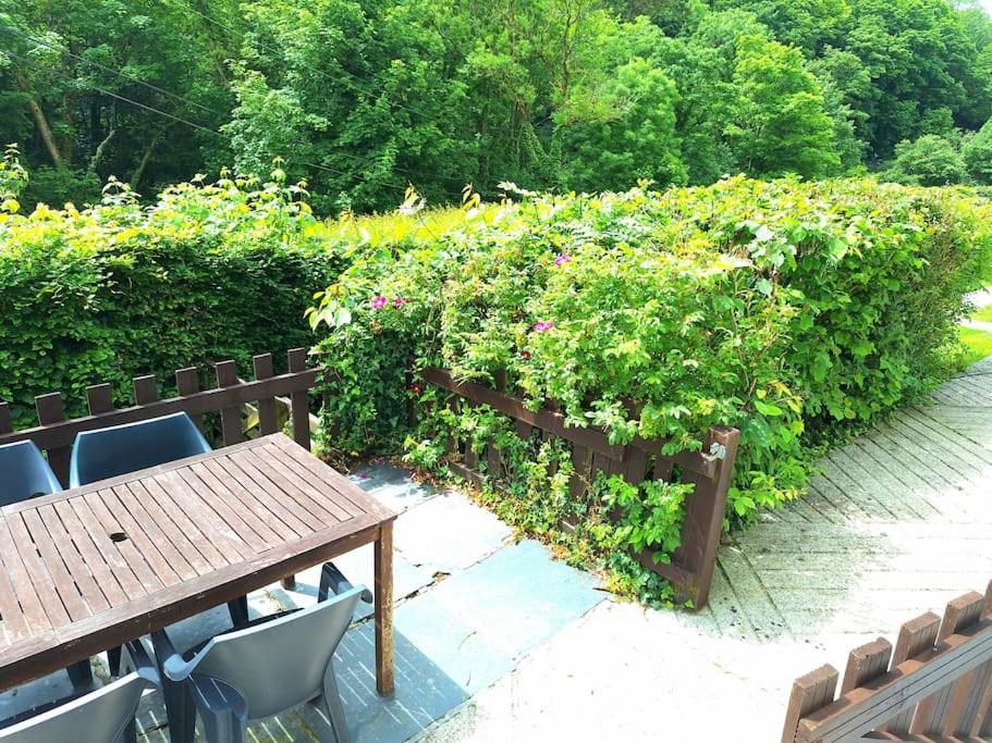 Kiberick Cottage at Crackington Haven, near Bude and Boscastle, Cornwall - Housity