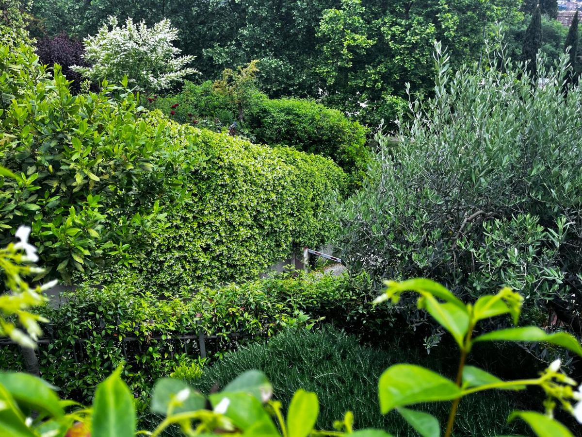 apartment in the green - Housity