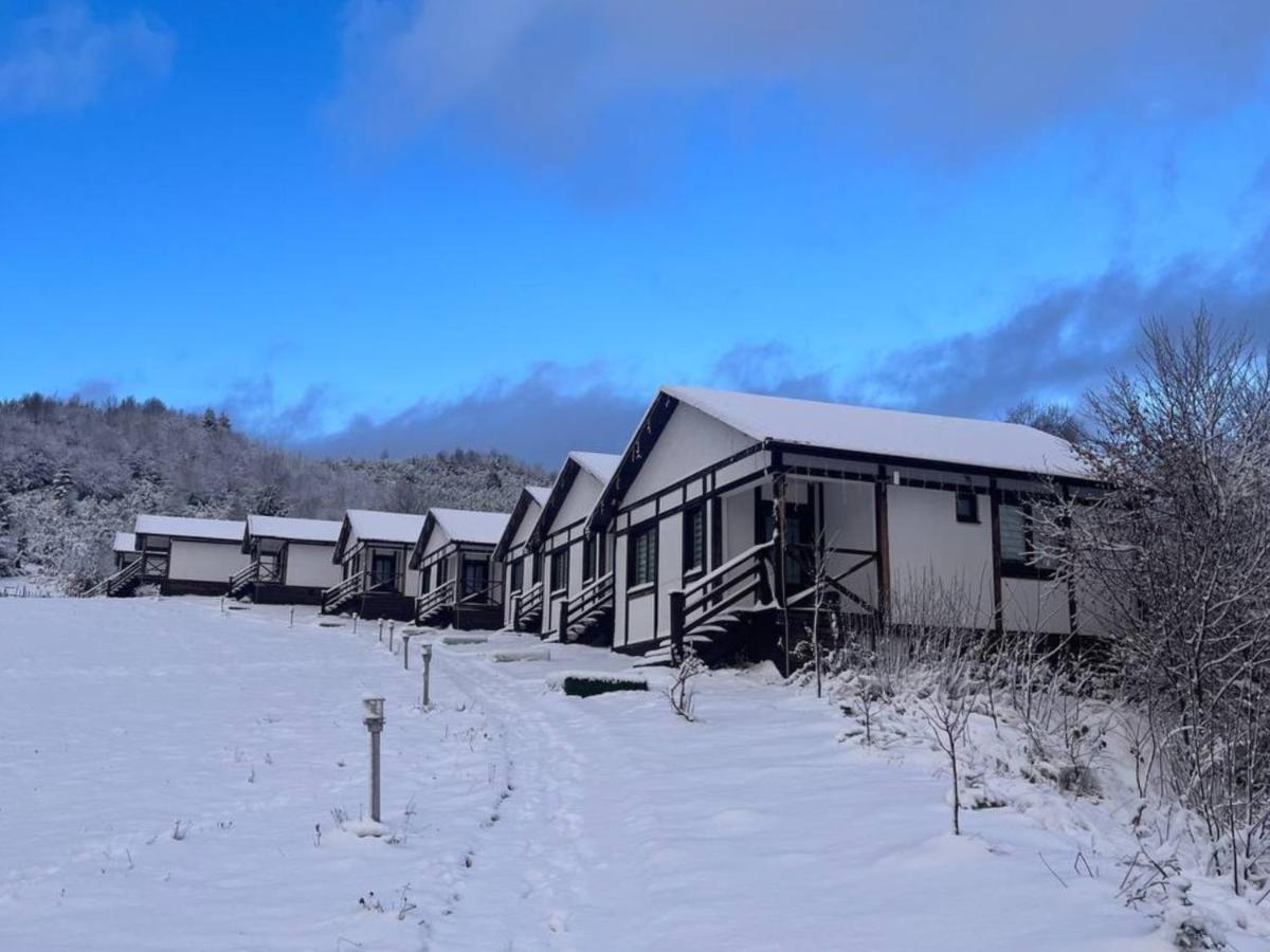 Kolochava Eco Resort - Housity