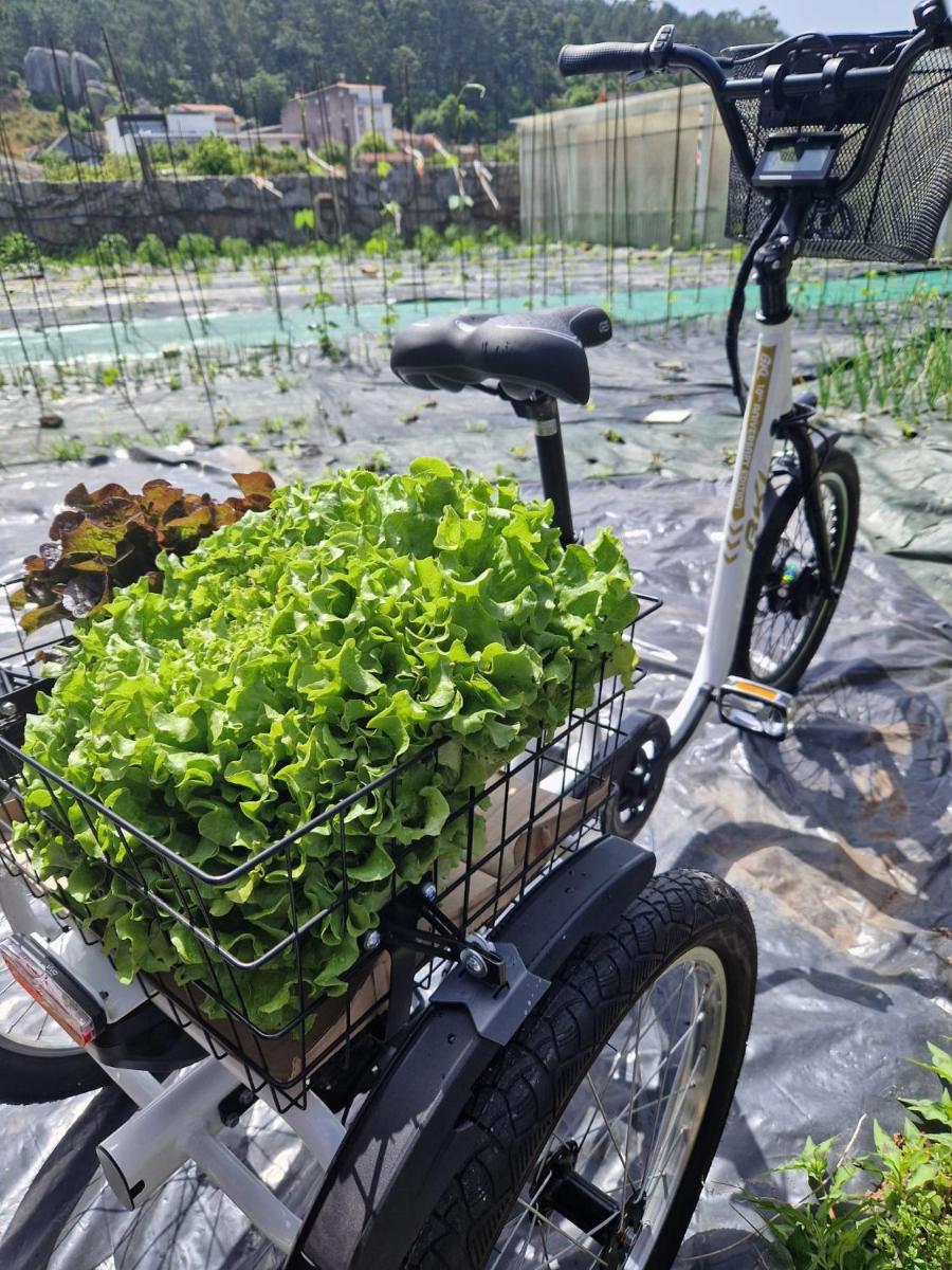 Montar en bicicleta en Hotel Spa Bosque mar o alrededores