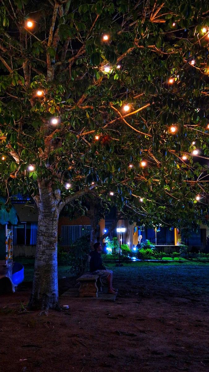 Winterville Flat 213 - Housity