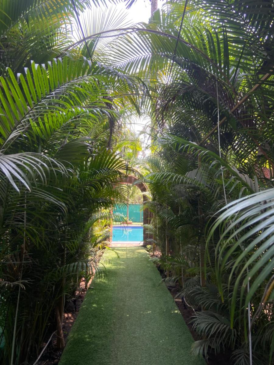 Suitetrails - SeaMazing Resort Alibag