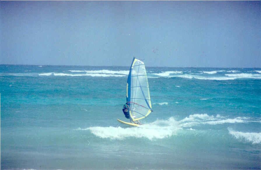 Ocean Bliss Apartments - Housity