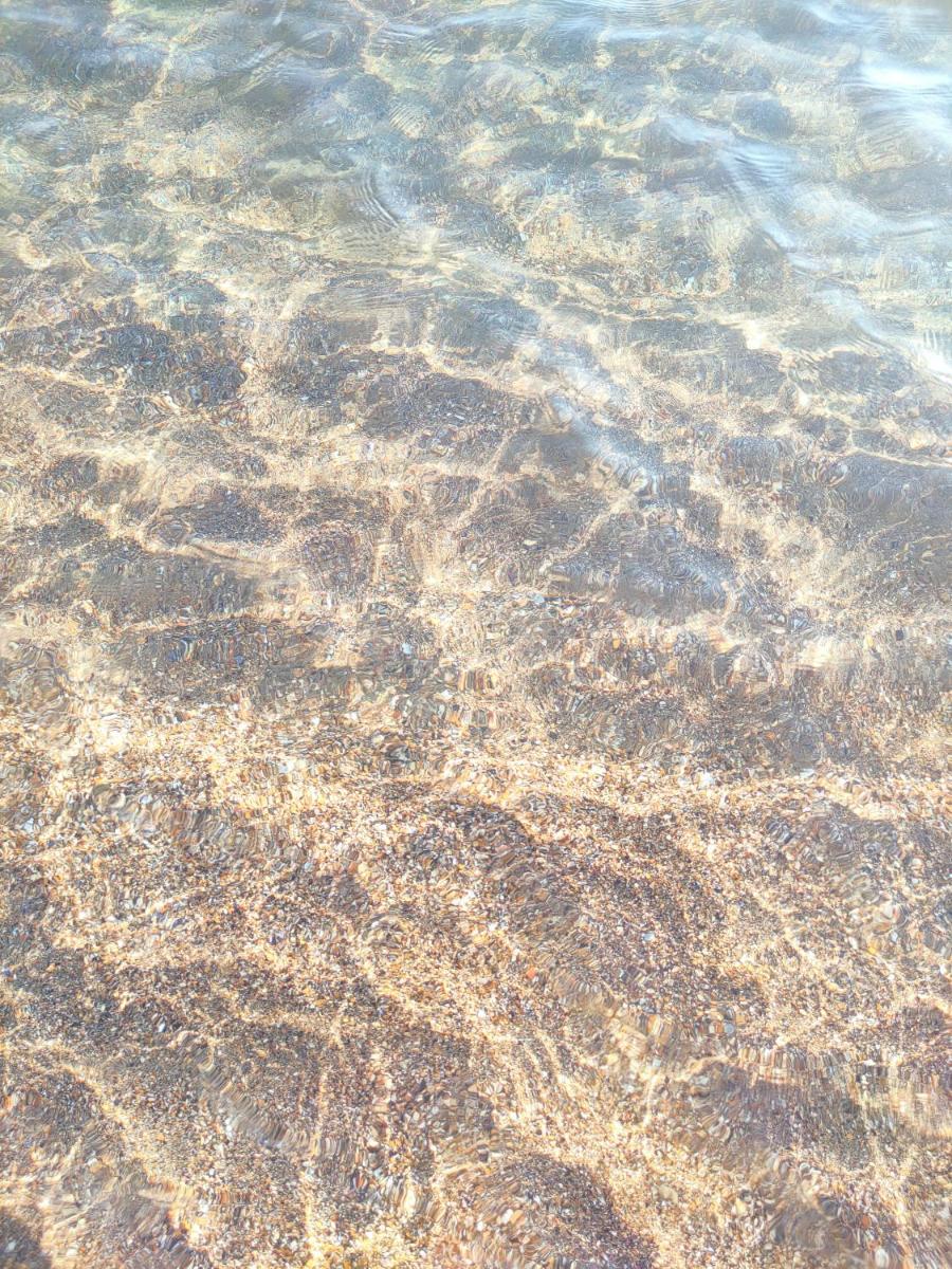 Sun and Sand Focene - Housity