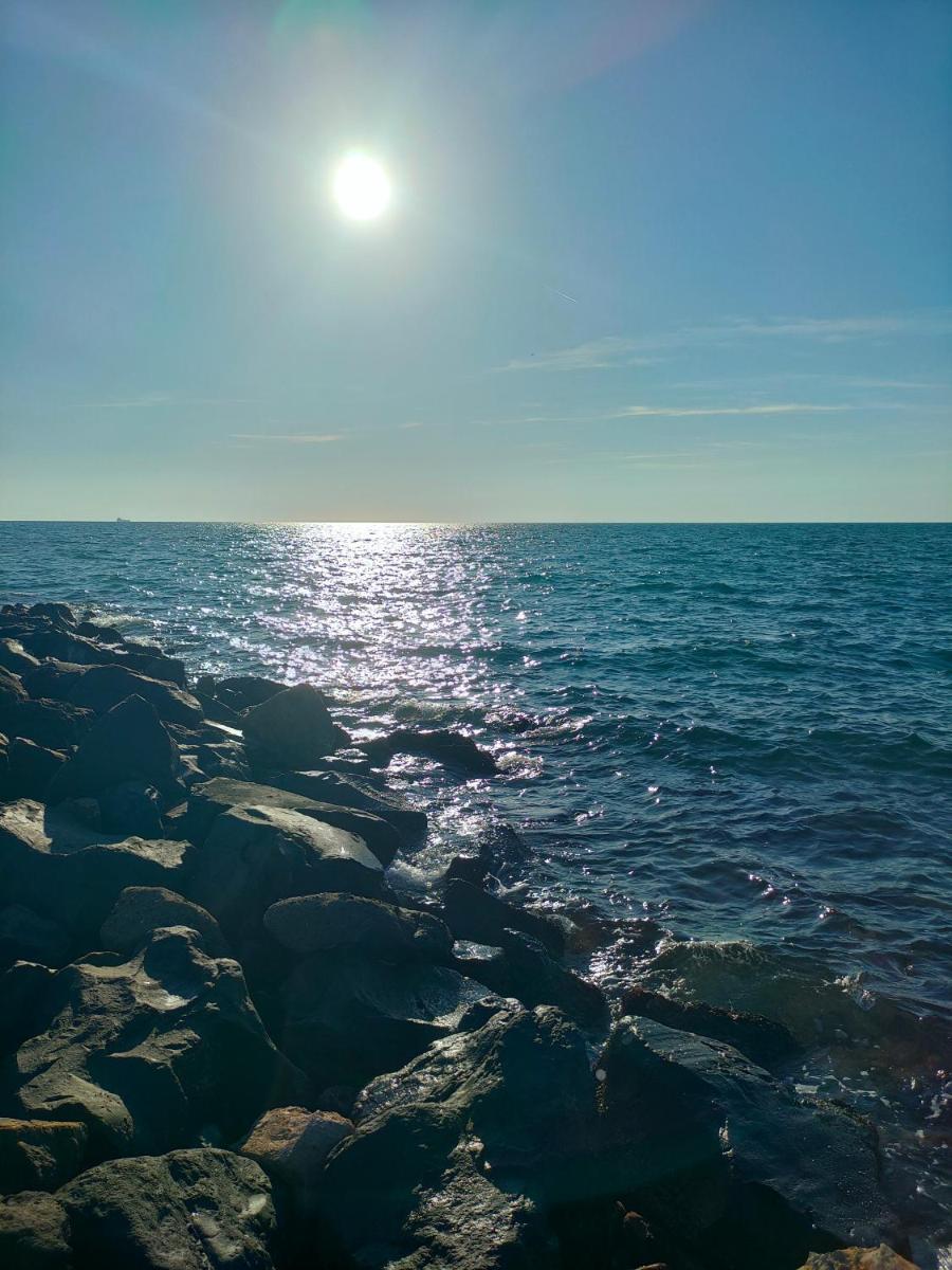 Sun and Sand Focene - Housity